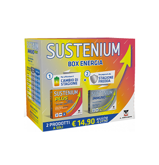 SUSTENIUM BOX ENERGIA 2019